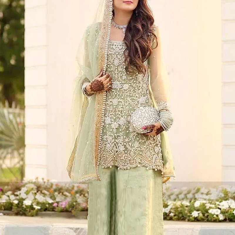 Pakistani Net Dress Design 2024: Fancy Net Dress, Net Frock & Net