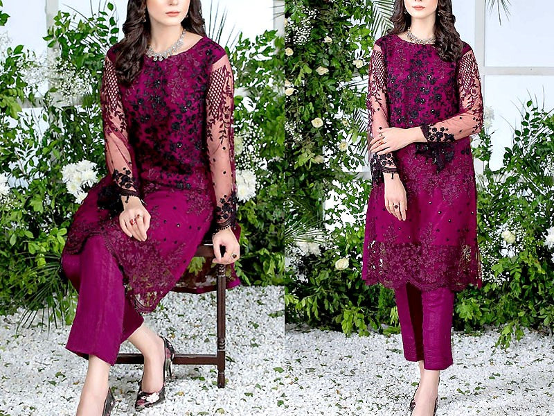 2-Piece Embroidered Fancy Net Party Wear Dress 2024 (DZ15195)