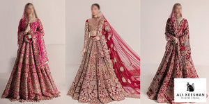 Ali Xeeshan Bridal Dresses Collection 2022