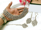 Elegant Silver Fashion Jewelry Set with Earrings & Tikka (DZ16758)