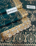 Fancy Embroidered Chiffon Party Wear Dress (DZ17381)