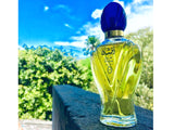 Rasasi Afshan Perfume (DZ10922)