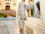 Heavy Embroidered Net Wedding Dress 2023 (DZ13359)