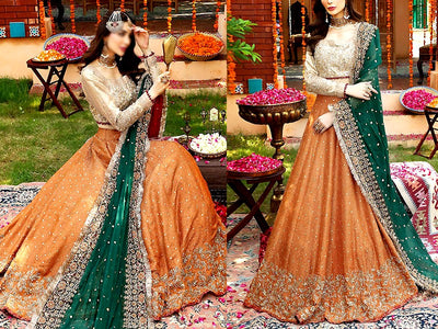 Luxury Handwork Heavy Embroidered Net Bridal Maxi Dress 2023 (DZ16061)