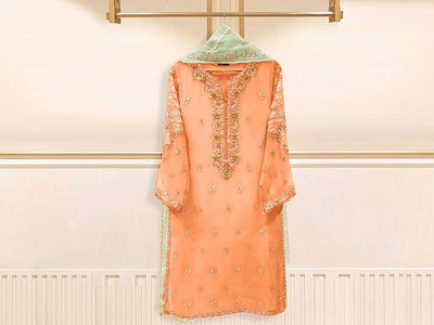 Handwork Embroidered Organza Party Wear Dress 2023 (DZ16610)