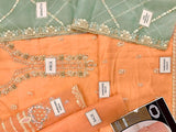 Handwork Embroidered Organza Party Wear Dress 2023 (DZ16610)