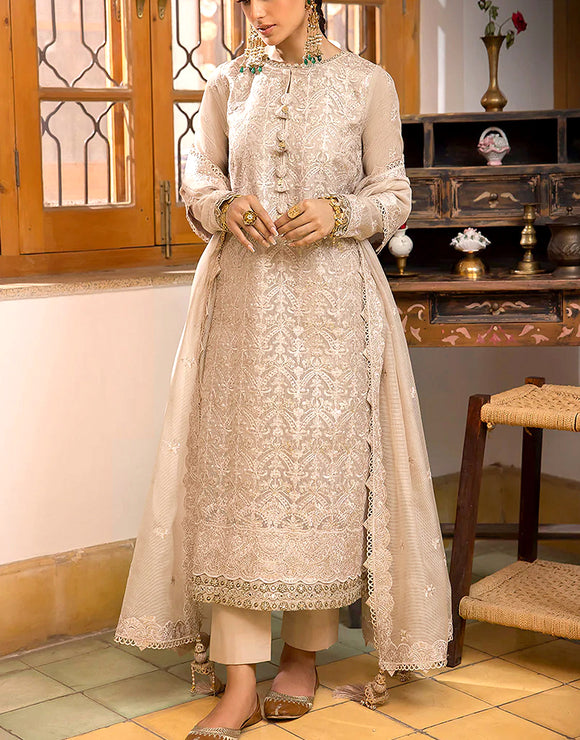 cotton net dress design 2 Piece