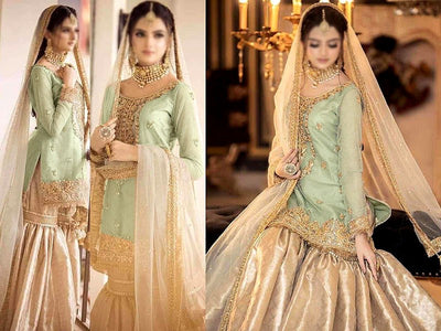 Heavy Embroidered Masoori Wedding Dress 2023 (DZ16840)