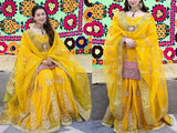 Heavy Embroidered Organza Bridal Mayun & Mehndi Dress 2024 (DZ16894)