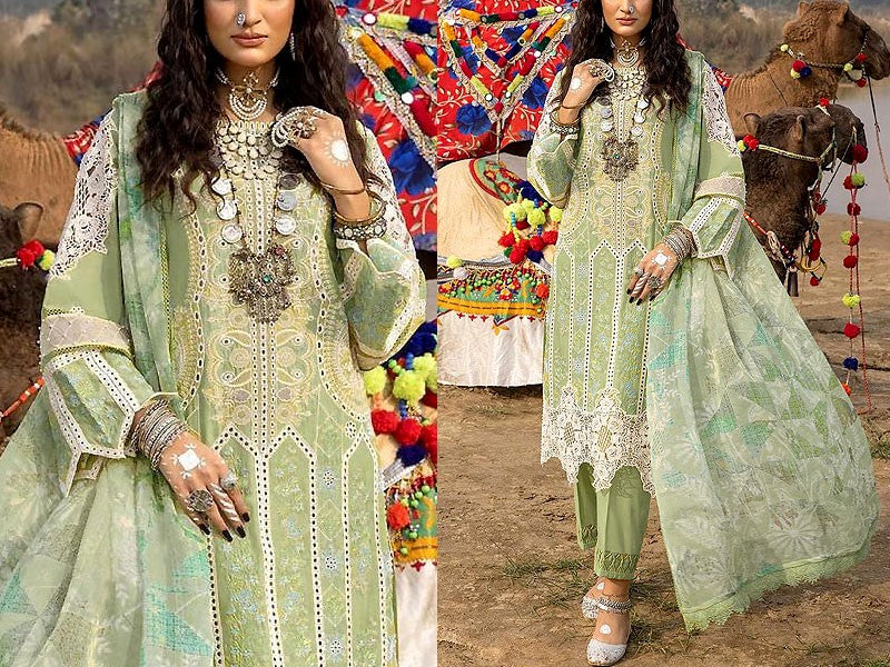 Luxurious Schiffli Embroidered Lawn Dress with Printed Silk Dupatta (D –  DressyZone.com