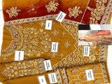 Luxury Handwork Heavy Embroidered Chiffon Bridal Dress 2024 (DZ16972)