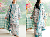 Digital All-Over Print Embroidered Lawn Dress with Silk Dupatta (DZ17066)