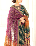 Luxury Embroidered with Heavy Handwork Organza Bridal Wear Dress (DZ17818)