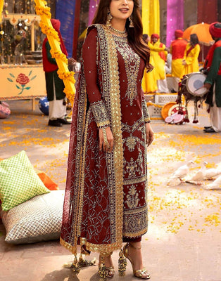 Fancy Embroidered Chiffon Party Wear Dress (DZ17996)