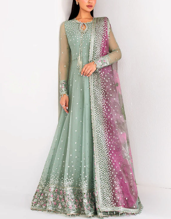 Fancy Heavy Embroidered Chiffon Maxi Dress with Emb. NET Dupatta (DZ18009)