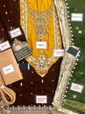 Luxury Heavy Embroidered Bridal Chiffon Mehndi Dress (DZ18251)