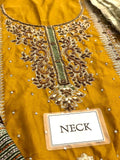 Luxury Heavy Embroidered Bridal Chiffon Mehndi Dress (DZ18251)
