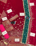Luxe Embroidered Ruby Pink Velvet Party Dress with Matching Potli Bag (DZ18255)
