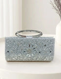 Stylish Silver Clutch Purse for Women (DZ18387)