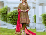 Heavy Embroidered Chiffon Bridal Dress with Embroidered Silk Trouser (DZ12501)
