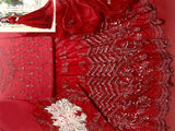 Handwork Heavy Embroidered Net Bridal Maxi Dress 2024 (DZ15286)