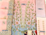 Luxury Handwork Heavy Embroidered Organza Party Wear Dress 2023 (DZ15465)