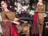 Embroidered Chiffon Wedding Dress with Embroidered Net Dupatta (DZ15504)