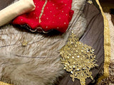 Chiffon Party Wear Dress with Mirror Work Net Dupatta (DZ15541)